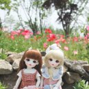 데이지 파티(Daisy Party)