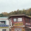 광교산동물병원 | 241117 김장 철 🥬