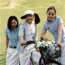 SES 카카오 검색결과