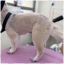 사계절, 멍 이미지