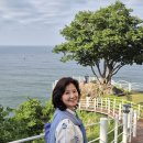 하얀낭만 Daum카페