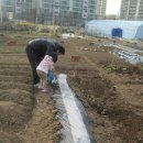 채희농장 이미지