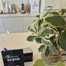가재길 | 해남 휴정원글램핑/전남글램핑추천/전남글램핑내돈내산