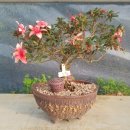 황등농장 이미지