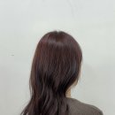 레드브라운 - 안양시 동안구 평촌대로 217 | 레드브라운