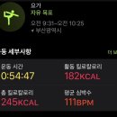 2박 3일 부산 여행 (2) - 부산 바다 요가 (해양 치유 요가) / 서희와 제과 / 광안리 바로 해장 / 골목연...