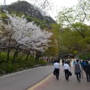 남산골약수터 이미지