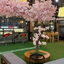 안경백화점 터미널점 이미지