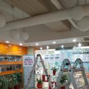 화정조명