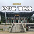 월계사 소장 목조아미타불좌상 | 서울 사찰 기행 성북구 개운사 한국 불교 개혁의 근원지