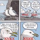 굿모닝미트샵 | 겨울 강릉을 사랑하는 방법ㅣ부산에서 강릉 1박 2일 (강릉 맛집, 강릉 소품샵)