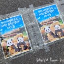 팔각정스낵 | [에버랜드 루이후이] 판다 세컨하우스 사전 초청 방문기