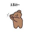 이노티안경(동성점) 이미지