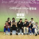 탕정 주짓수 MMA 이미지