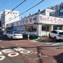 독도참가자미회 이미지