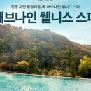 포레스트리솜 이미지