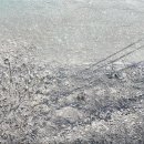 개인(정효순) 이미지