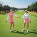 대명설악컨트리클럽 | 🌄 설악썬밸리CC, 이런 골퍼에게 추천드려요 💚