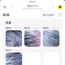 비비추헤어 이미지