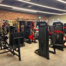 라인업피트니스 이미지