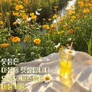 향기5로 이미지