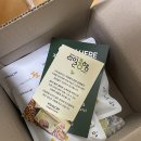 착한아이반찬 | 맛있는 식단 관리! 비타글로리 찜콩 2종(병아리&호랑이) + 리얼콩햄캔 솔직 담백 후기 🌿✨