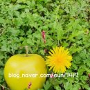 이현농장 이미지