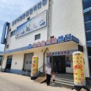 영덕활어 | 영덕 죽도산 맛집 [대게궁] 활어물회 내돈내산 솔직후기 1인 1가자미에 매운탕까지 챙겨주는 갓성비 횟집