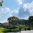 우드선 | 세이지우드 홍천 아기랑 호캉스 - 인피니티풀/수영장/레스토랑 조식/부대시설/멤버십 가격
