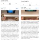 충현동물병원 이미지