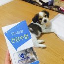 양지종합동물병원 이미지