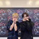 브랜뉴코리아