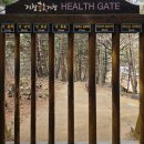 전통시장내 | 거창우두산 Y자출렁다리+전통시장 먹방후기, 항노화힐링랜드 거창하게1박2일 코스!