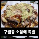소담애 이미지