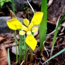 산너머남촌에는 이미지