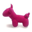 바둑이 애견 이미지