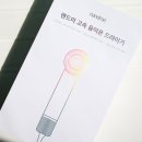 음이온고속헤어드라이기 랜드미 이온젯 사용 후기