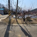 전원회관 이미지