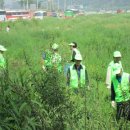 평화남산동주민센터 이미지