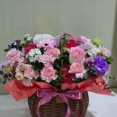 지하상가A | 대전꽃집, 도우미꽃식물원 중앙로지하상가점 방문 후기