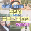하얗게 불태운 천안시 블로그 공모전 뒷이야기