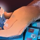 그루밍 캐나다 네이버블로그