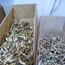 우이동 멸치국수 이미지