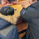 힐링숲족욕카페 이미지
