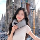 미미세탁 | 리빙미미 기내용목베개 핸드폰스트랩 스페인 여행 필수템 4종 후기