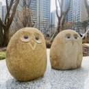 진달래약국 이미지