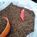 방앗간의추억 이미지