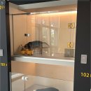 플러스펫 이미지