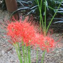 중리공원 이미지