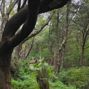 오륙도 조형물 | [신선대] 부산 오륙도 근처 부산 남구에서 산책하는 완벽한 하루
